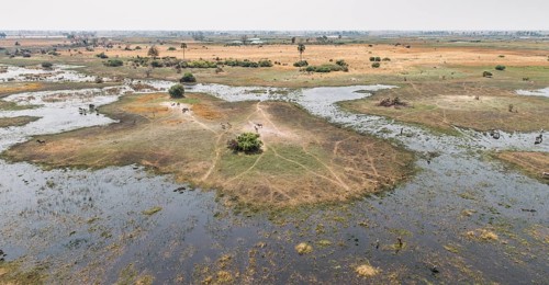Wildlife in the Okavango Delta (aerial view from a helicopter)