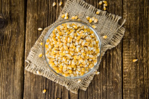 Portion of Corn (detailed close-up shot) on wooden background (selective focus)