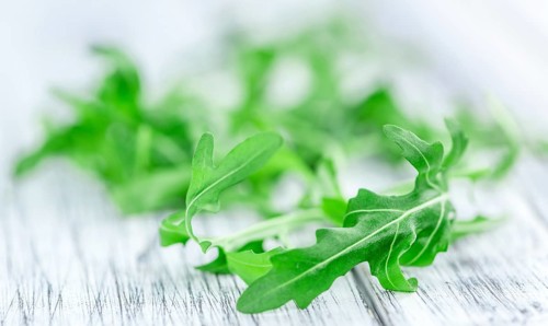 Fresh Arugula on an old wooden table as detailed close-up shot