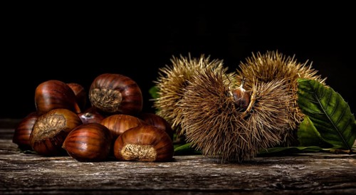 Chestnuts and chestnut bur on wooden table. Light painting technique