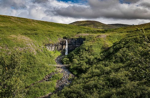 Svartifoss waterfall surrounded by dark basalt columns in Iceland