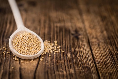 Portion of fresh made Mustard Seeds (close-up shot, selective focus)