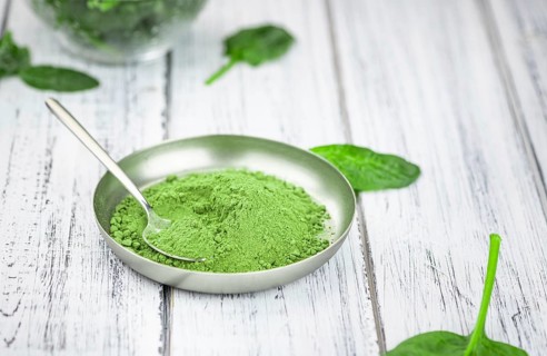 Freshly made green spinach powder (detailed close up shot, selective focus)