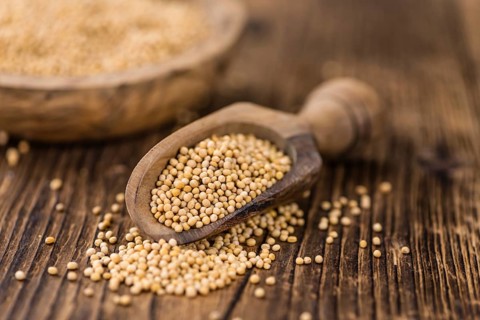 Portion of fresh made Mustard Seeds (close-up shot, selective focus)