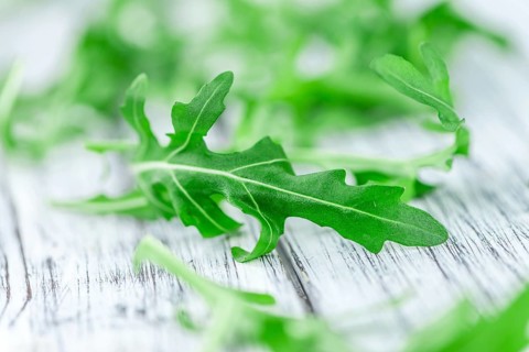 Portion of fresh Arugula (detailed close-up shot, selective focus)