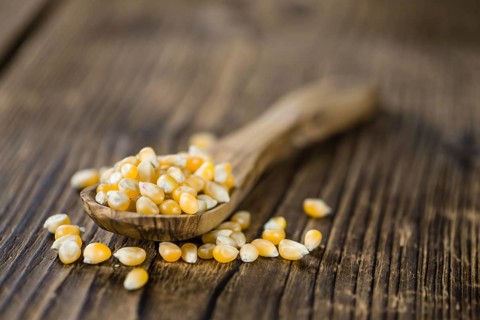 Wooden table with a portion of Corn (selective focus, close-up shot)