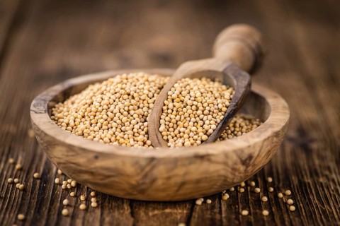Portion of fresh made Mustard Seeds (close-up shot, selective focus)