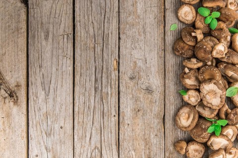 Shiitake mushrooms on a vintage background as detailed close-up shot, selective focus