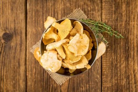 Portion of fresh harvested Chanterelles on wooden background as detailed close-up shot (selective