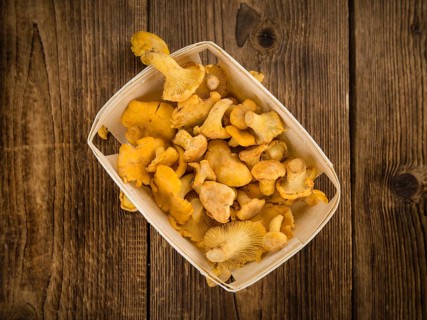 Portion of fresh harvested Chanterelles