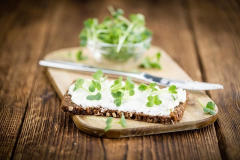 An old wooden table with healthy food (slice of bread, cream cheese and fresh cutted cress),