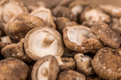 Portion of fresh Shiitake mushrooms close-up shot, selective focus