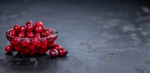 Healthy Canned Cranberries on a vintage slate slab (close-up shot, selective focus)