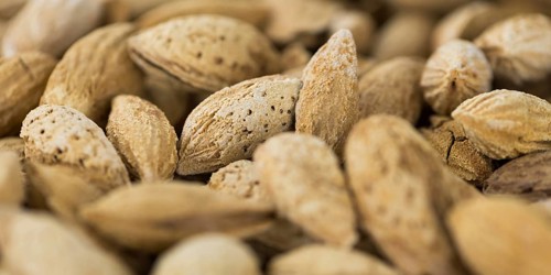 Roasted Almonds (in shell) as full size background image (selective focus)