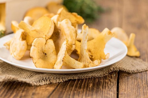 Portion of fresh harvested Chanterelles on wooden background as detailed close-up shot (selective