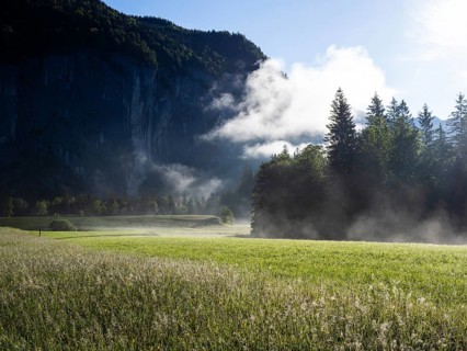 Morning atmosphere at sunrise, early morning fog over a meadow, behind the Gossler Wand, Gossl,