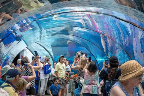 Detroit, Michigan, Visitors to the Detroit Zoo view sea life, including polar bears, in an