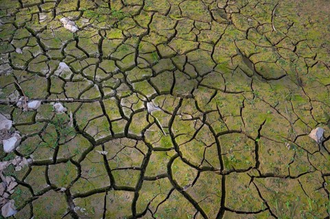 Ripped up earth in a dry carp pond, Franconia, Bavaria, Germany, Europe
