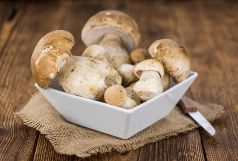 Fresh Porcinis (raw) on a vintage background as detailed close-up shot (selective focus)