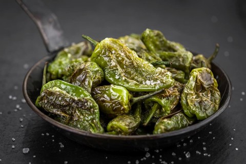 Portion of fresh Pimientos de Padron close-up shot, selective focus