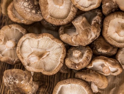 Portion of fresh Shiitake mushrooms close-up shot, selective focus