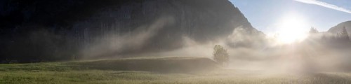 Morning atmosphere at sunrise, early morning fog over a meadow, behind the Gossler Wand, panoramic