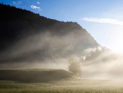 Morning atmosphere at sunrise, early morning fog over a meadow, behind the Gossler Wand, Gossl,