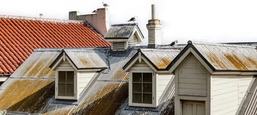 Roof with pigeons on Alcatraz Island on white background