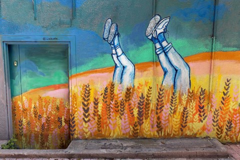 Legs of young people sticking out of a cornfield, mural at a Likada organic food shop, Exarchia