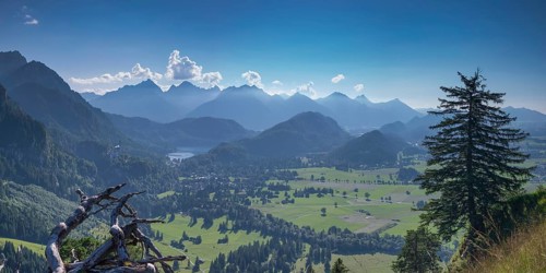 Neuschwanstein Castle, Hohenschwangau near Füssen, Ostallgäu, Allgäu, Bavaria, Germany, Europe
