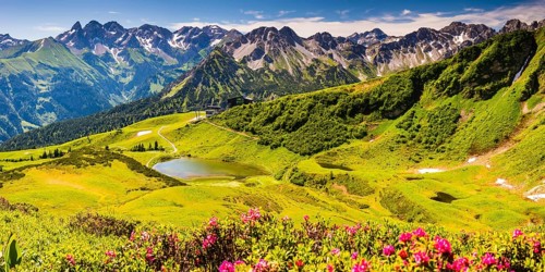 Alpine rose blossom, panorama from the Fellhorn over the Schlappoldsee and mountain station of the