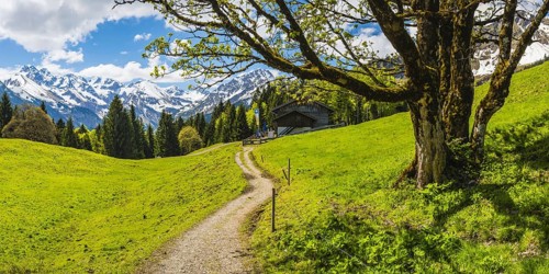 Berggasthof Hochleite, behind it the Allgäu Alps, Allgäu, Bavaria, Germany, Europe