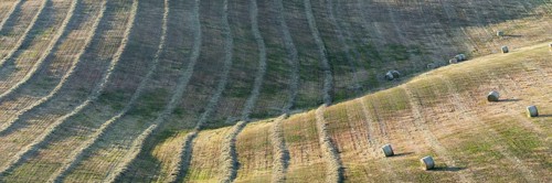 Harvested wheat field with bales of straw, landscape around Pienza, Val d'Orcia, Orcia Valley,