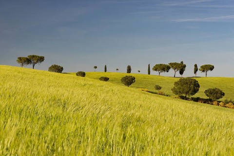 Landscape around San Quirico dOrcia, Val d'Orcia, Orcia Valley, UNESCO World Heritage Site,