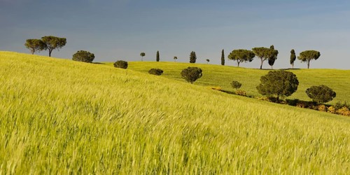 Landscape around San Quirico dOrcia, Val d'Orcia, Orcia Valley, UNESCO World Heritage Site,