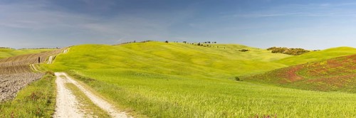 Landscape around San Quirico dOrcia, Val d'Orcia, Orcia Valley, UNESCO World Heritage Site,