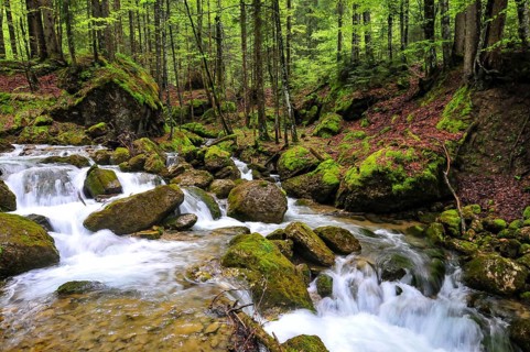 Long exposure of a waterfall on the Steigbach in the Steigbachtobel near Immenstadt in Oberallgäu,