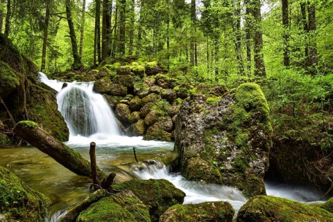Long exposure of a waterfall on the Steigbach in the Steigbachtobel near Immenstadt in Oberallgäu,