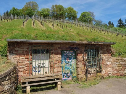 Old shed with graffiti in the middle of vineyards, in front of it a wooden bench, trier, germany