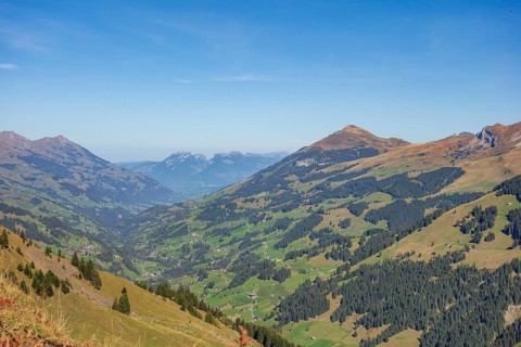 Wide view of a valley surrounded by mountains and forests under a clear sky, saas Fee, Alps,