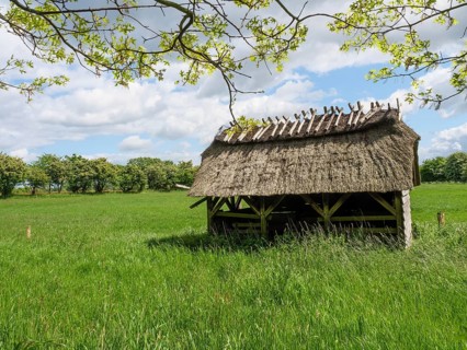 A grass-covered hut on a wide green field on a sunny spring day, Maasholm, Schleswig-Holstein,