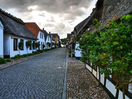 A historic street with thatched roof houses and plants, lined with cobblestones and a cloudy sky,