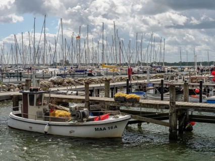 A small boat in the harbour, surrounded by many masts and clouds in the sky, Maasholm,