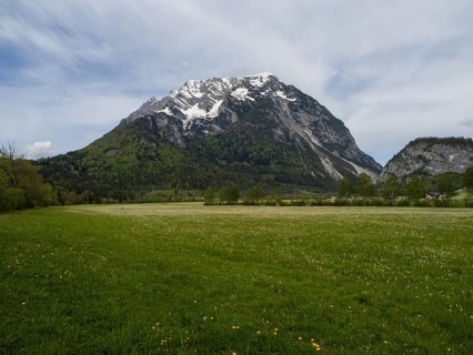 Flower meadow, behind Grimming mountain range, near Irdning, Styria, Austria, Europe