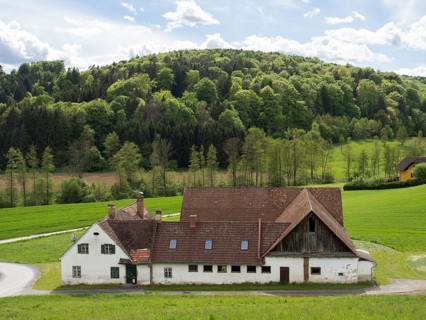 Farmstead in a meadow at the edge of a forest, near Breitenfeld, Styria, Austria, Europe
