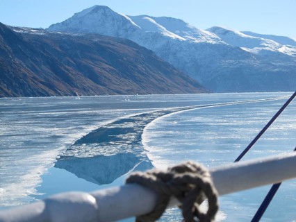 The image was taken between Narsaq and Narsasuaq, Tunulliarfik Fjord (Eriksfjord) in Southwest