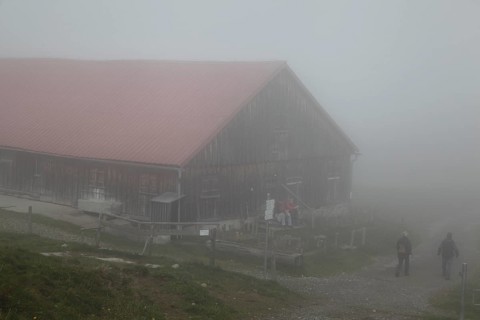 Alpine pasture in the fog with hikers