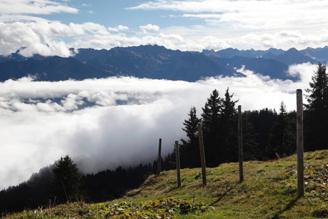 On the Horner group with a view of the Allgäu main ridge