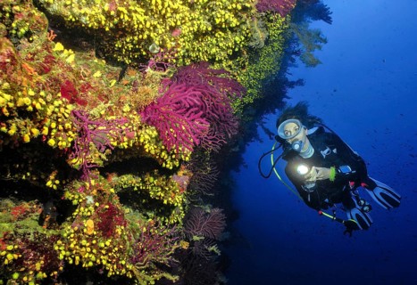 Scuba diver female diver swimming dives on rocky reef reef wall with overhang illuminated with