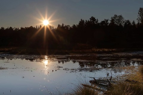 Sunset in the Schonramer Filz, an upland moor near Traunstein, Bavaria